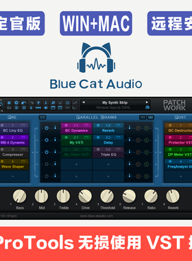 蓝猫桥接器 BlueCat'sPatchWork ProTools使用VST/VST3插件通道条
