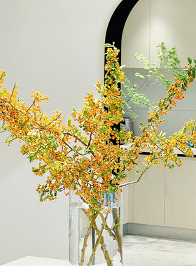 果实类花材耐养花期长金黄色火棘果鲜切枝居家插花水Z养云南直发