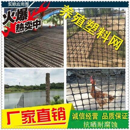 养鸡塑料围栏网阳台安全防护网隔离网鸡鸭围网漏Z粪网养殖网