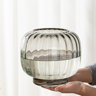 水培器皿创意玻璃花盆水养植物白掌红掌J绿萝大号花瓶透明插花摆