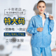 防静电分体服立领大码 防护防尘无尘工作服电子Q厂实验室洁净服蓝