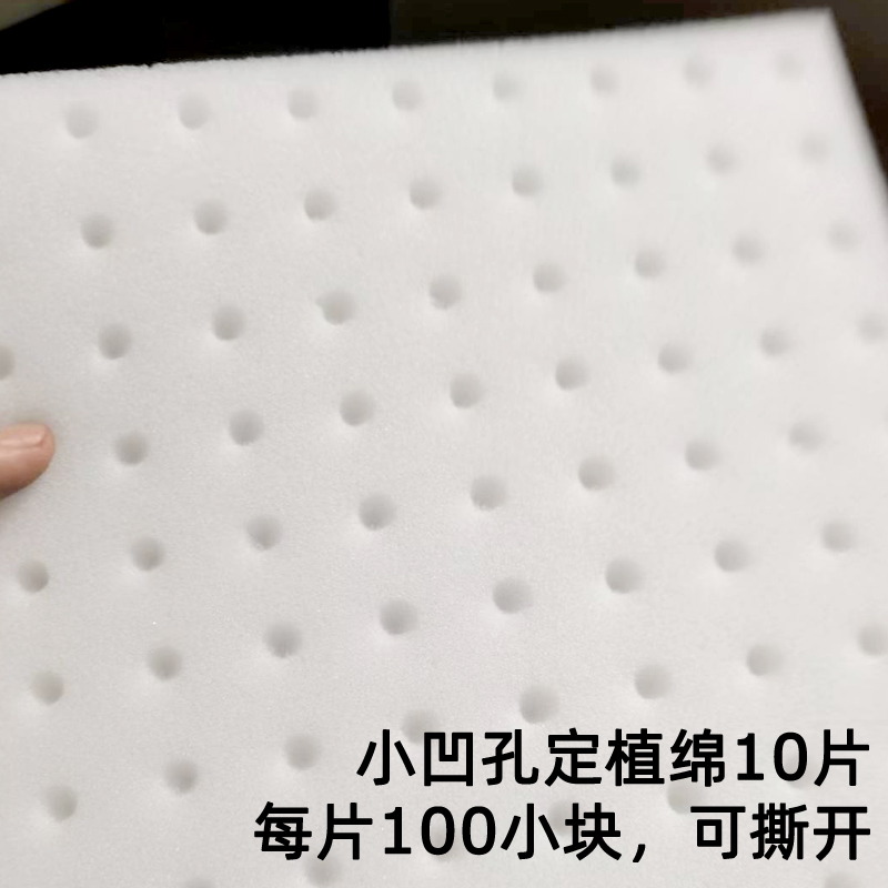 大棚基地学校无土栽n培凹孔定植绵育苗种植海绵水培生菜草莓种菜