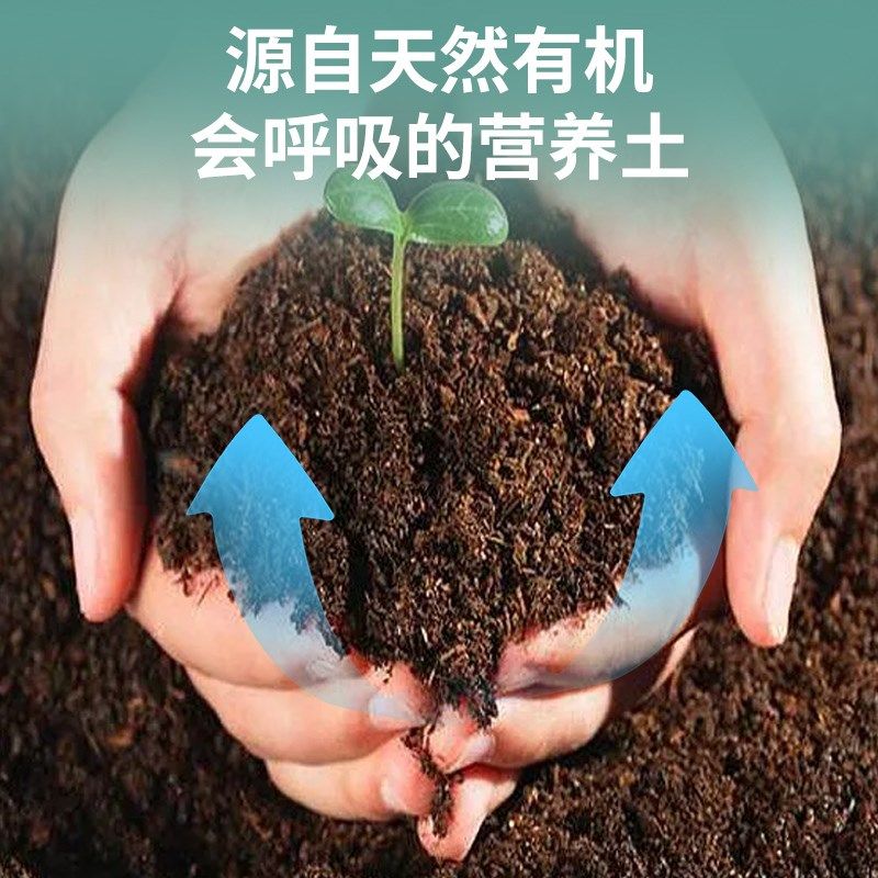 阳台种菜专用h土多肉种植土腐殖土杜鹃花泥炭土壤蔬菜土有机营养,鲜花速递/花卉仿真/绿植园艺,介质/营养土,淘宝优惠券,粉丝福利购,淘宝优惠卷
