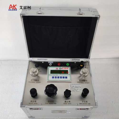 真空压力校验仪 ZH-YBS-DX-T 变送器压力表校准真空压力校准器