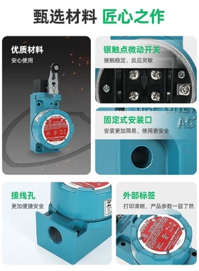 防爆行程限位开关BXA3K-1A LSXA3K-1A BXM4N LSXM4N-1A