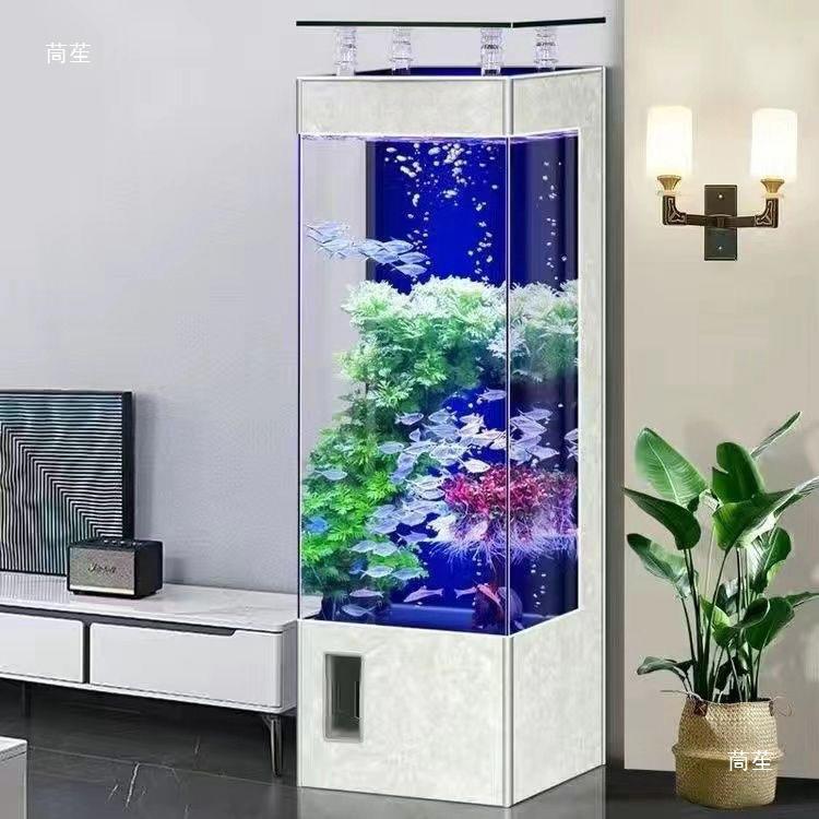 方形立式浮法玻璃金鱼缸客厅家用落地式背部过滤靠墙免换水水族箱