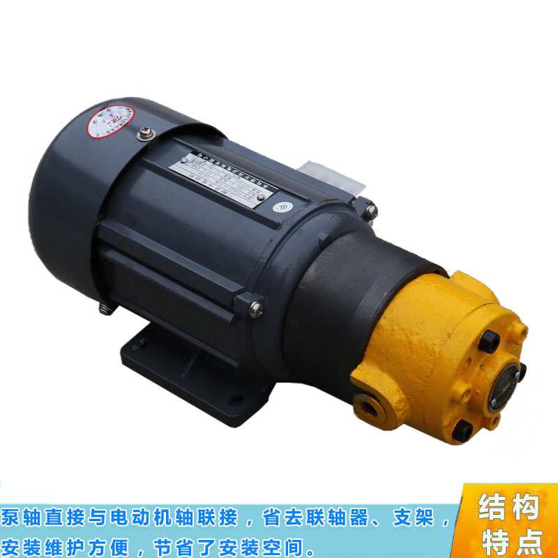 双向润滑泵1KNB2.5A电机装置可逆式摆线齿轮油泵直插式电机组
