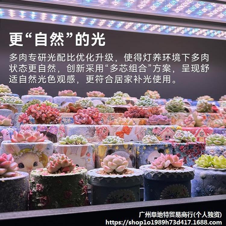 厂家多肉补光灯Plus版 上色仿太阳全光谱家用LED植物生长灯排室内