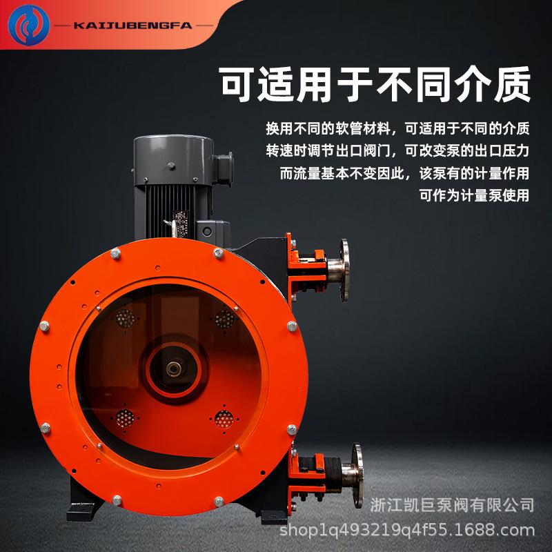 工业软管泵耐腐蚀挤压式蠕动泵大流量粘稠颗粒化工液态固体输送泵