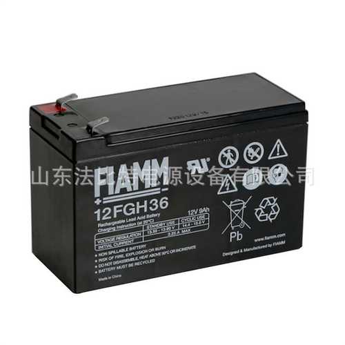 非凡FGC21803免维护蓄电池12V18Ah应急通讯 FIAMM 意大利