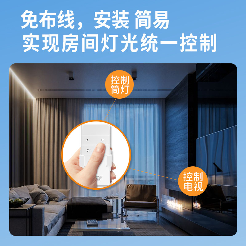 河森 智能灯具遥控关二段变光电灯分段器
