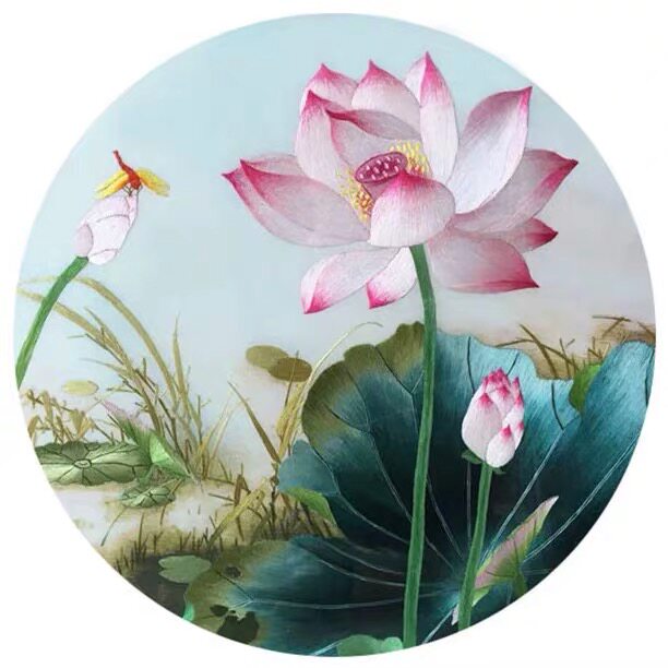 刺绣初学 针迹荷蜻蜓图 手工刺绣装饰画 非成品