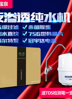 纯水反渗透直饮增压泵地下水除垢自来水级