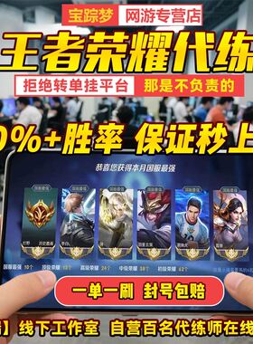 王者荣耀代练打排位国标省标指定英雄巅峰挑战赛陪练陪玩上分车队