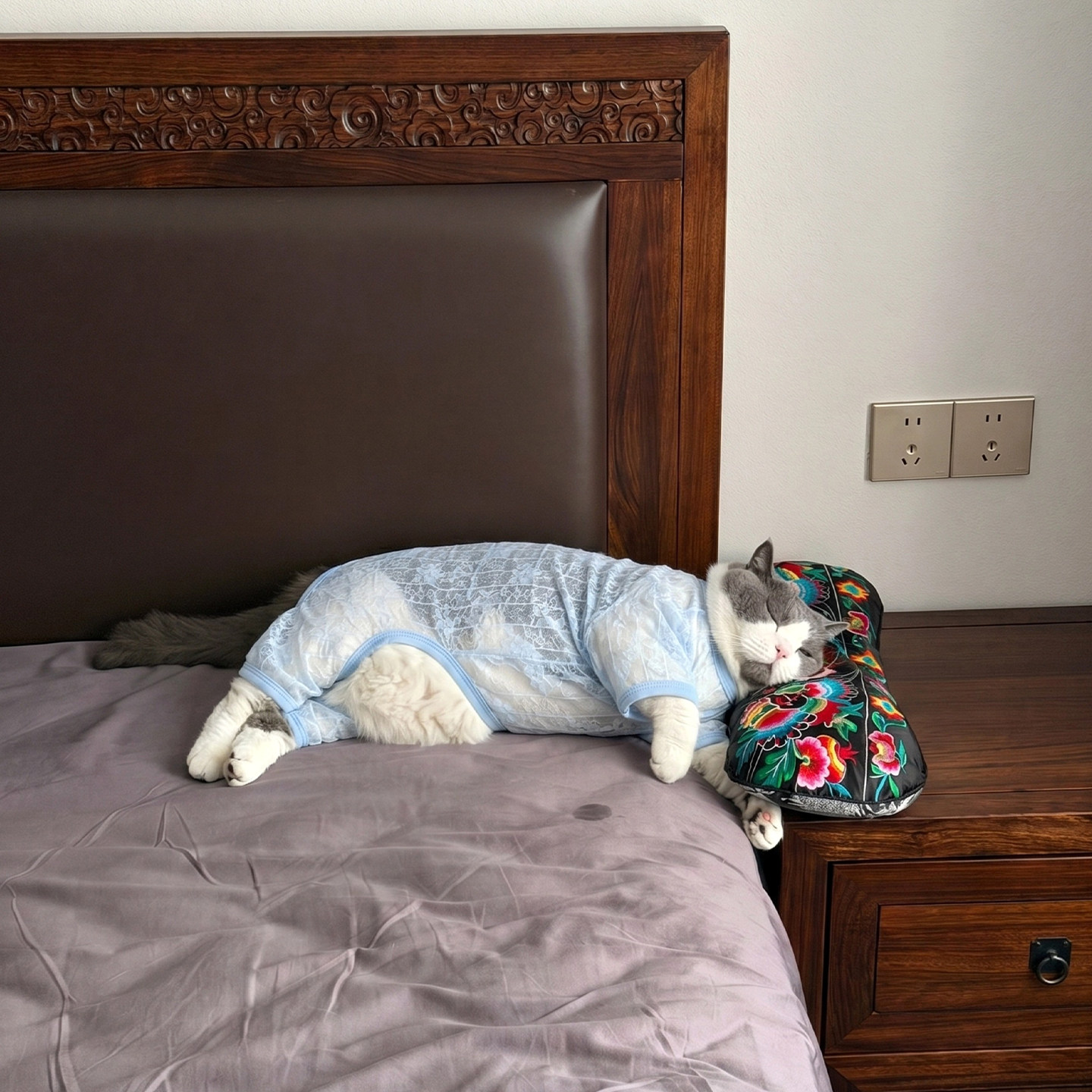 猫咪衣服夏季薄款透气防掉毛超轻薄网纱弹力四脚衣猫狗床上睡衣