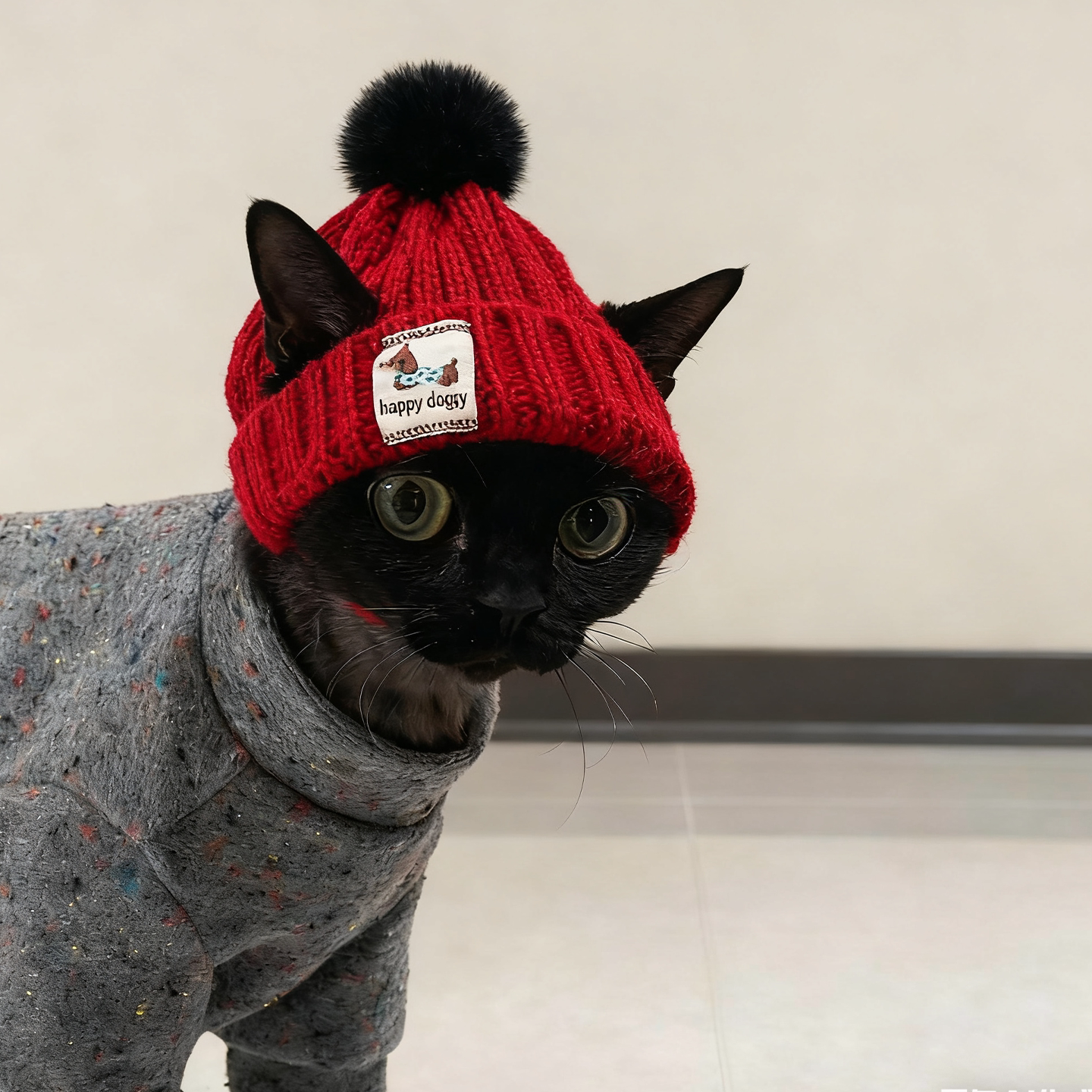 猫咪帽子狗狗秋冬款针织毛线帽舒适保暖可爱宠物头套布偶英短泰迪