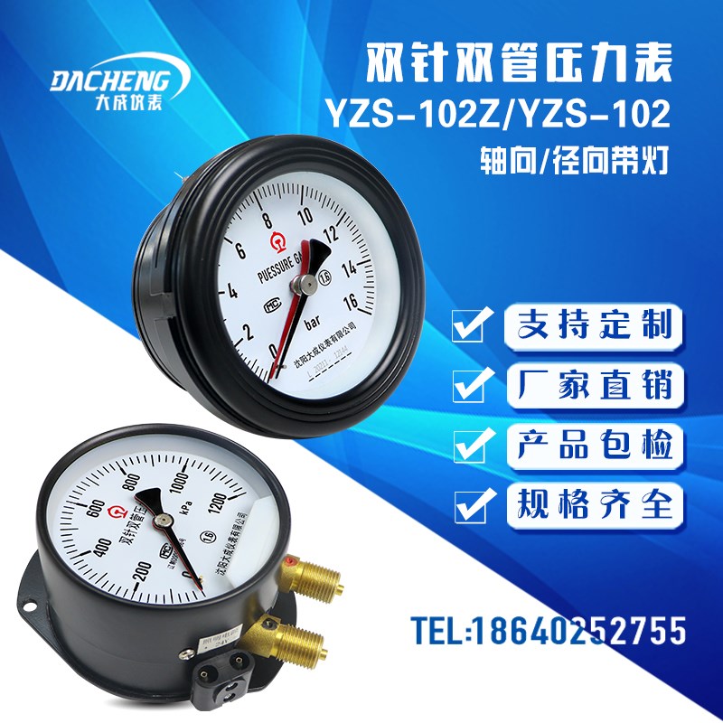 【大成】轴向双针双管压力表 YZS102双针压力表 01600kpa 带灯
