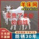 超底价 羊床钢丝网羊床漏粪网C鸡鸭鹅漏粪底网镀锌围栏网养殖