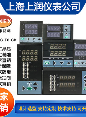 WP-LEAV-C205HL交流电压表数显电压显示仪上润80*160