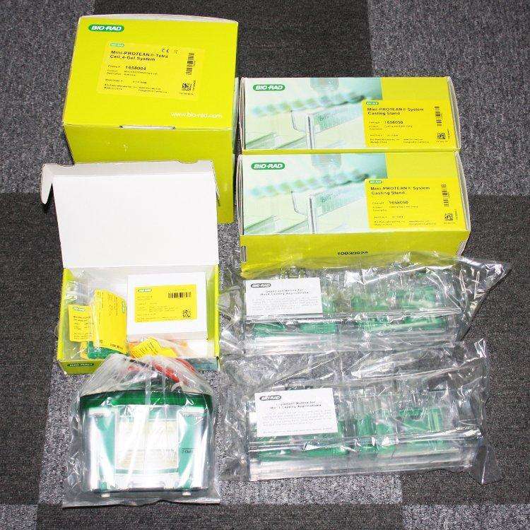 伯勒biorad垂直蛋白电泳仪 Mini-Protean Tetra 1658001