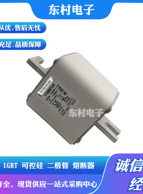 现货170M6018 170M6019 170M6020 170M6021全新熔断器