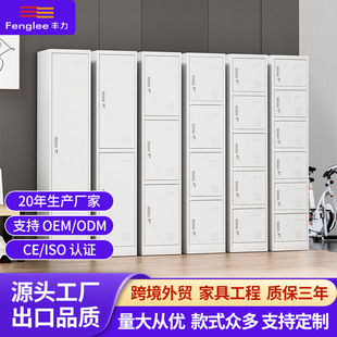 拆装出口中东更衣柜单体储物柜钢制收纳柜单一门单二单三单六衣柜
