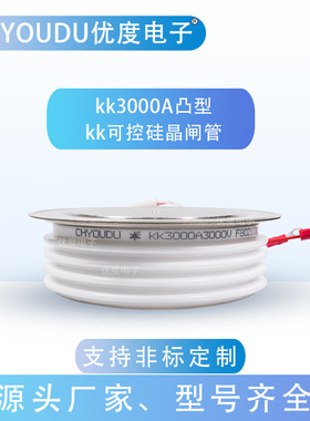 快速晶闸管 KK2500A2000V KK2500A-20 KK2500-20 KK2500A/2000V