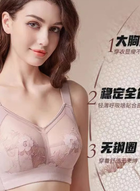 维多利亚大胸显小调整型刺绣文胸罩软钢圈上托防下垂聚拢内衣薄款