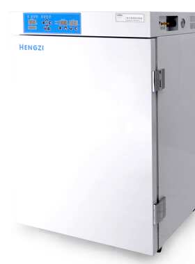 新诺仪器HGZN-II-270 电热恒温干燥箱 不锈钢实验烘箱 融蜡固化箱