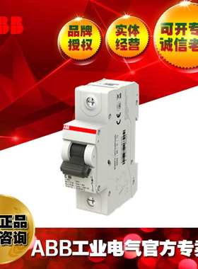 ABB微型断路器SH801-C100/2TAZ190100R0824