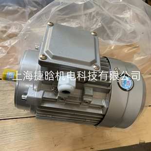 GS100L 三相异步电动机 YS100L 上海供应DELI铝壳3KW电机