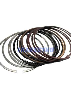 奇瑞星途凌云 揽月 风云 瑞虎8瑞虎9捷途X95F4J20发动机活塞环