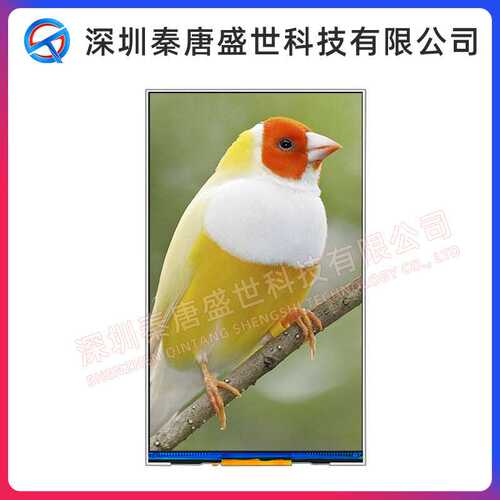 6.95寸TFT液晶屏600*1024ips全视角高清显示屏mipi接口插接31pin