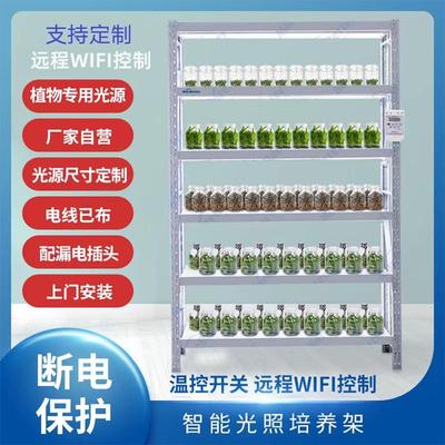 组培架实验室植物蔬菜LED光照培养架育苗架组装可移动带灯培育架