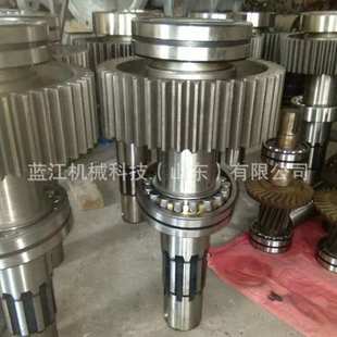 JS40减速机齿轮轴圆弧轮主轴总成斜齿轮一轴二轴三轴四轴总成