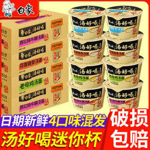 白象汤好喝迷你杯桶装 泡面熬夜夜宵速食 方便面小杯面老母鸡汤杯装