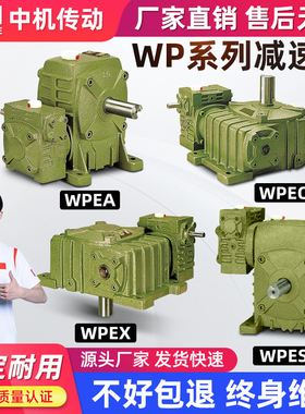 WPEA WPEO WPEX WPES 50-80 60-100 70-120 双级涡蜗轮蜗杆减速机