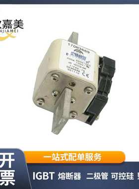 170M3473  170M3466 快速熔断器  电子元器件 型号齐全 量大价优