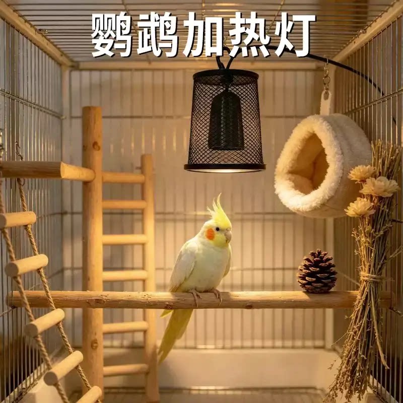 鹦鹉加热灯冬季专用保暖鸟笼防烫可控温陶瓷取暖过冬神器保温用品