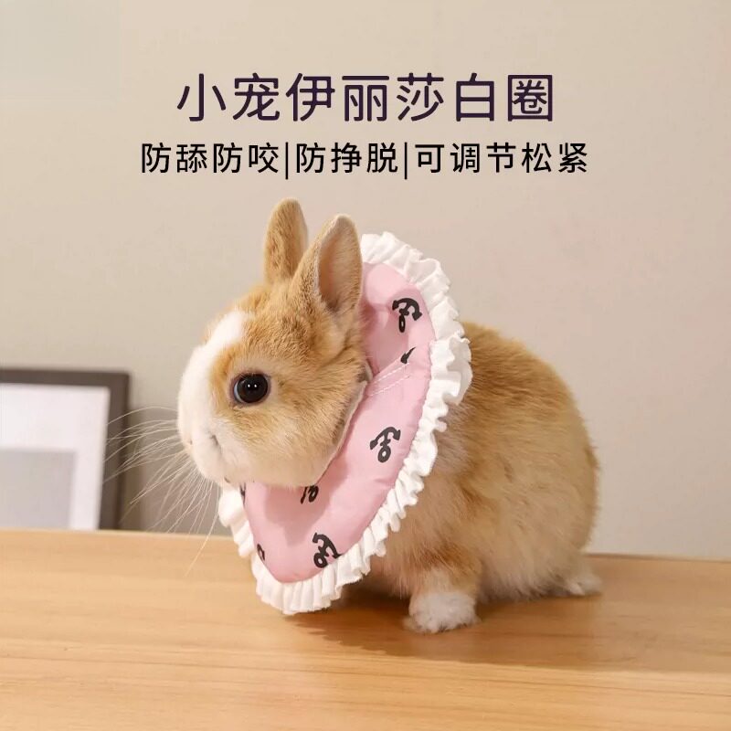 伊丽莎白圈兔子蜜袋鼯防舔防护圈荷兰猪仓鼠小宠头套项圈宠物用品