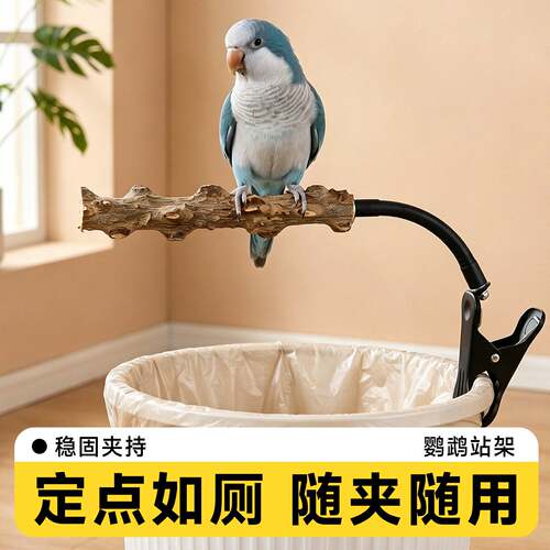 鹦鹉站杆定点排便鸟站架虎皮小太阳拉屎神器垃圾桶花椒木用品大全