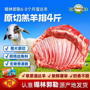 锡盟羔羊排4斤内蒙古羊肉新鲜羊肋排现杀整扇生鲜冷冻烧烤食材
