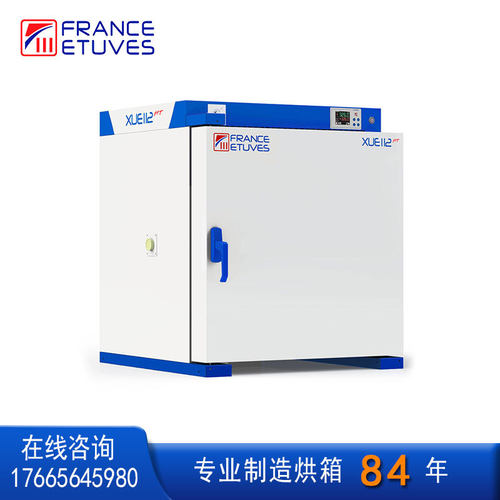 法赛图XUEHT112-SP高温烤箱 FRANCE ETUVES热风循环450度恒温烘箱