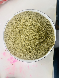 巧家特产苦荞饭荞米饭5斤装包邮