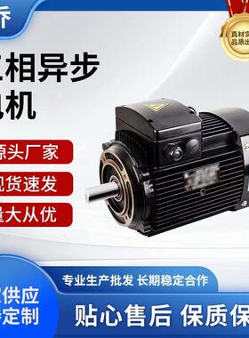 多级泵专用电动机格兰富款CDL立式 YE3 80M1-2-0.75W三相异步电