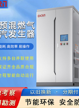 大西锅炉燃气蒸汽加热器新款2吨