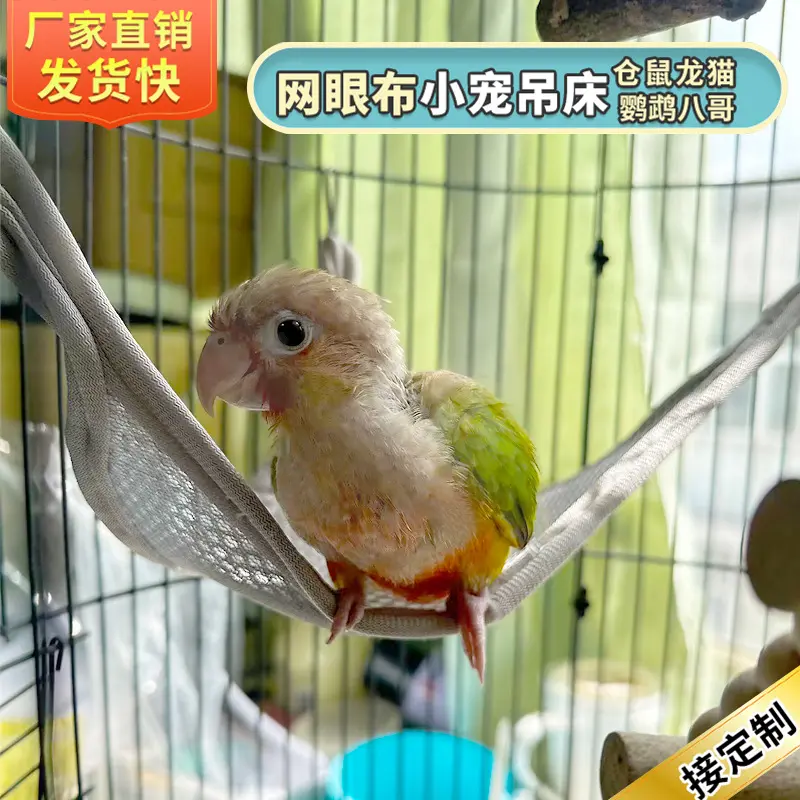 夏季吊床蜜袋鼯透气网格悬挂式