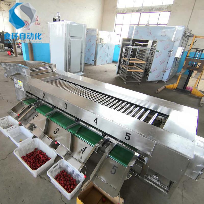 番茄滚杠分级机滚杠式芋头选果机土豆重量分选机价格厂家供应