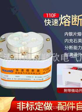 P型四孔方型平板螺栓式半导体110F/800V 快速熔断器BC100KA