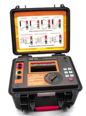 胜利VICTOR VC9600/VC9600B高压绝缘电阻测试仪